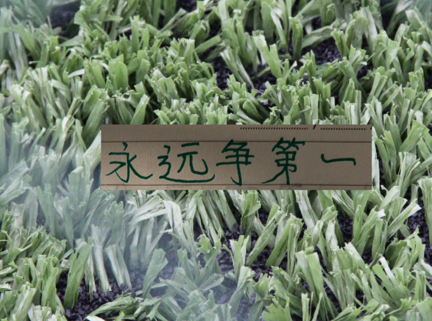 v站-连续收割3个中超冠军！再加第一跑男